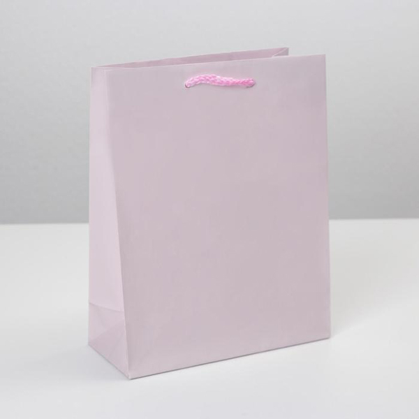 Ламинированный пакет «Розовый», MS 18 х 23 х 8 см