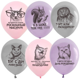 Воздушные шары 12"/30см ассорти рис. Мемы СДР для девчонок