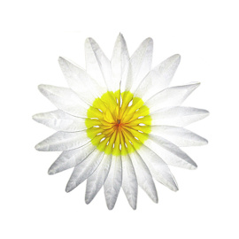 Бумажное украшение Цветок белый 50см