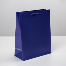 Ламинированный пакет «Синий», MS 18 х 23 х 8 см