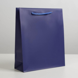 Ламинированный пакет «Синий», ML 23 х 27 х 8 см