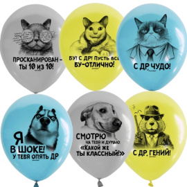 Воздушные шары 12"/30см ассорти рис. Мемы СДР для пацанов