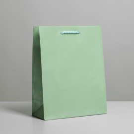 Ламинированный пакет «Зелёный», MS 18 х 23 х 8 см